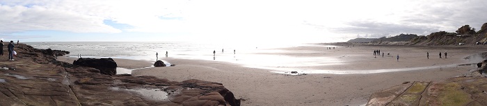 Поездка на дикий черный песчаный пляж в Муриваи (Muriwai) студентов из Languages International