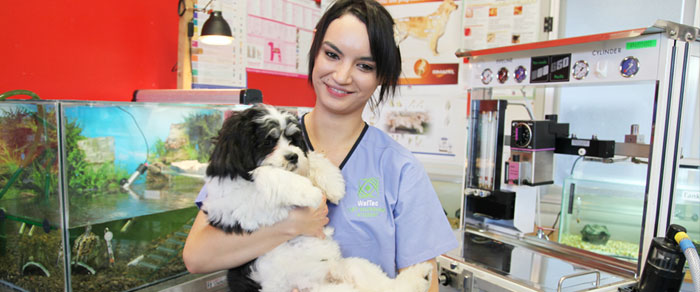 Ветеринария и здоровье животных