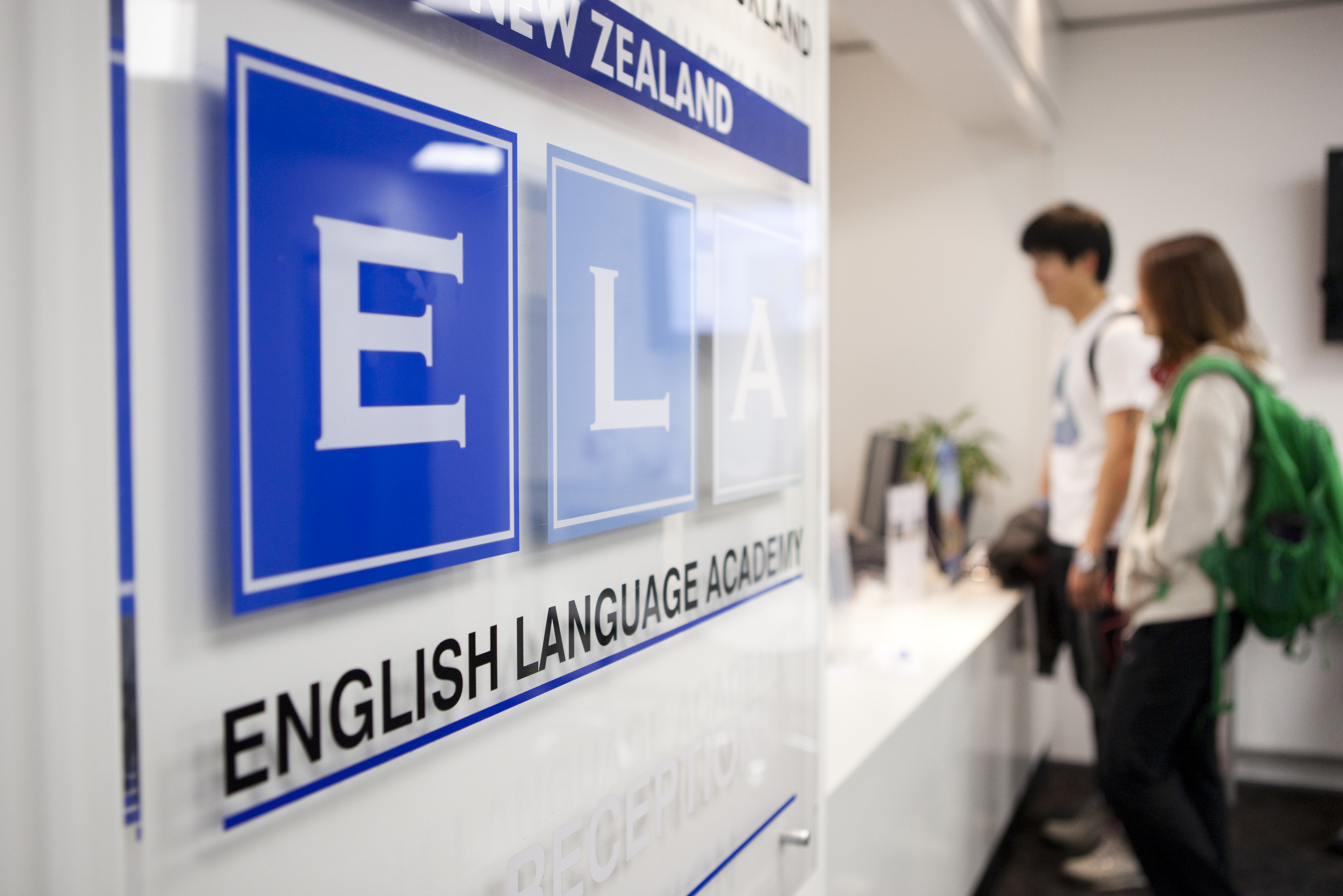 Академия Английского Языка — English Language Academy